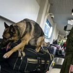 Таможенный контроль Таможенный контроль